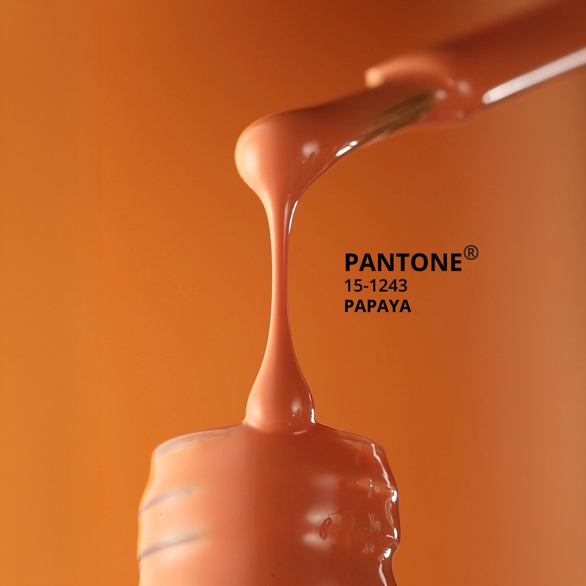 momo-pantone-kalici-oje-10-ml-19a4d-.jpg