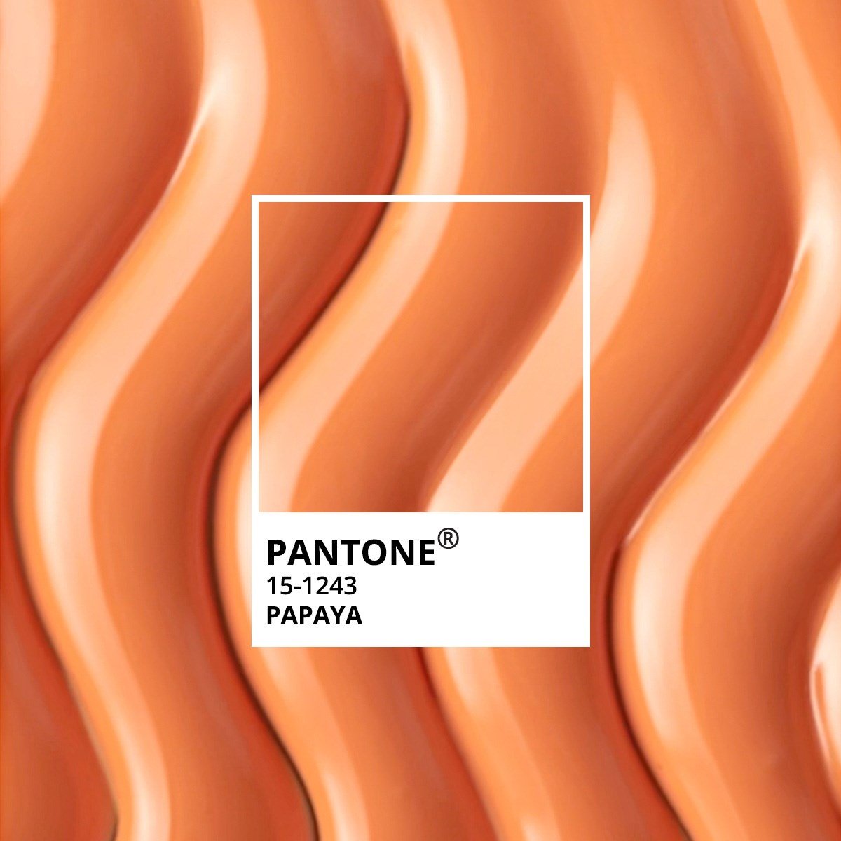 momo-pantone-kalici-oje-10-ml-52a9-4.jpg
