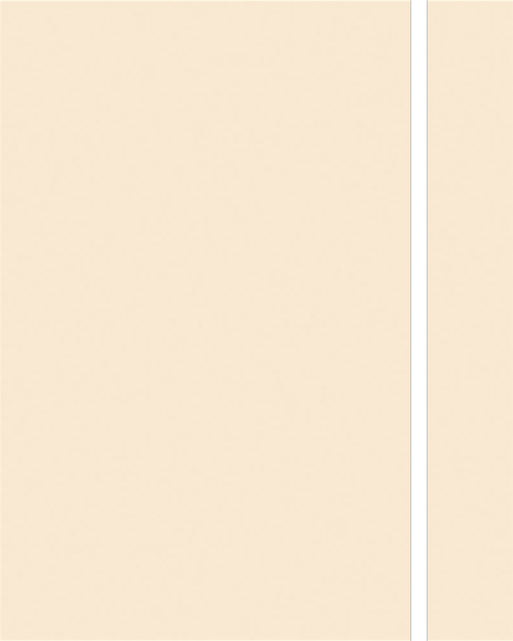 Kastamonu Entegre D102 Bej Bute PVC Kenar Bandı 22x0.80 mm