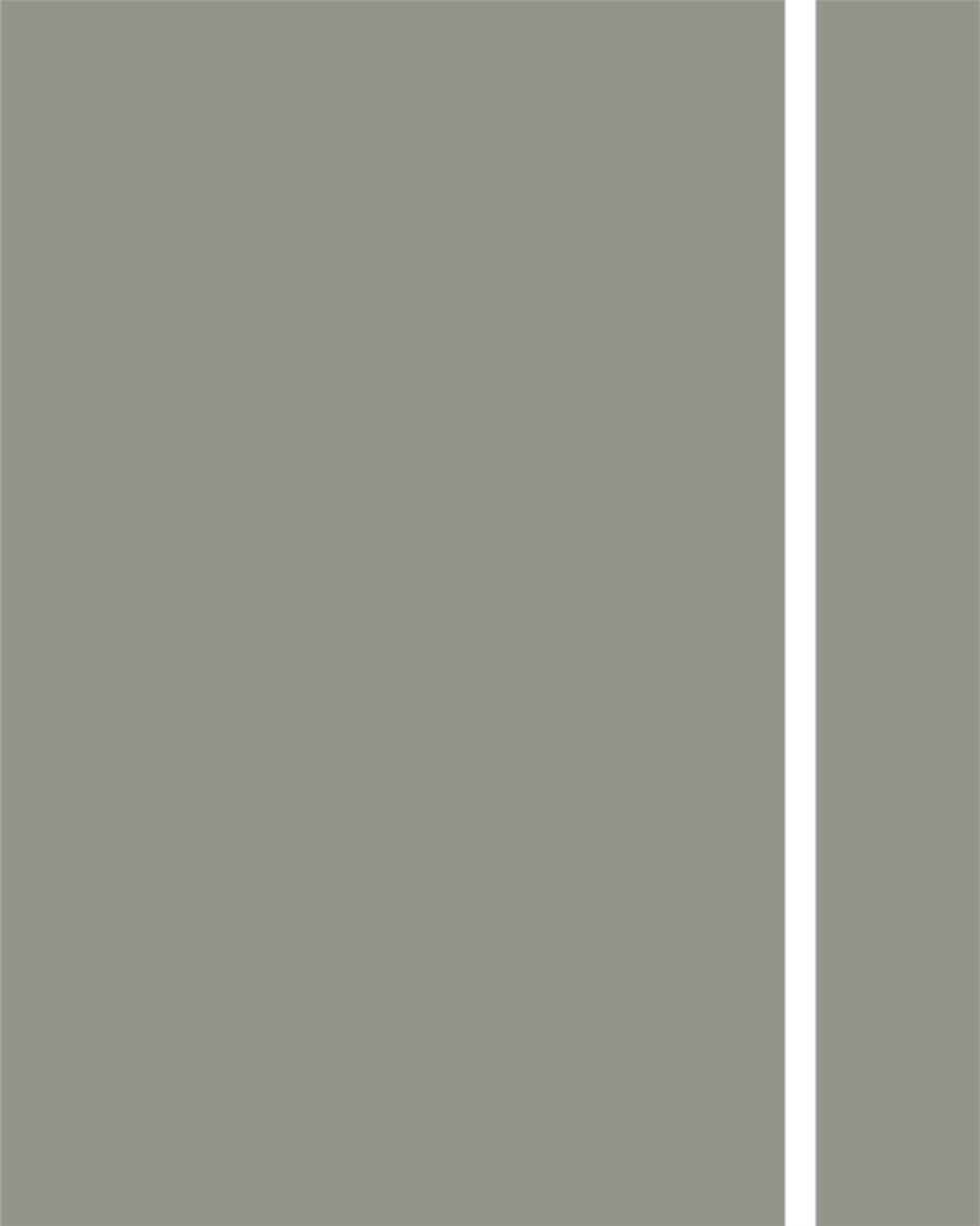 Starwood 195 Kılavuz Düz PVC Kenar Bandı 22x0.80 mm