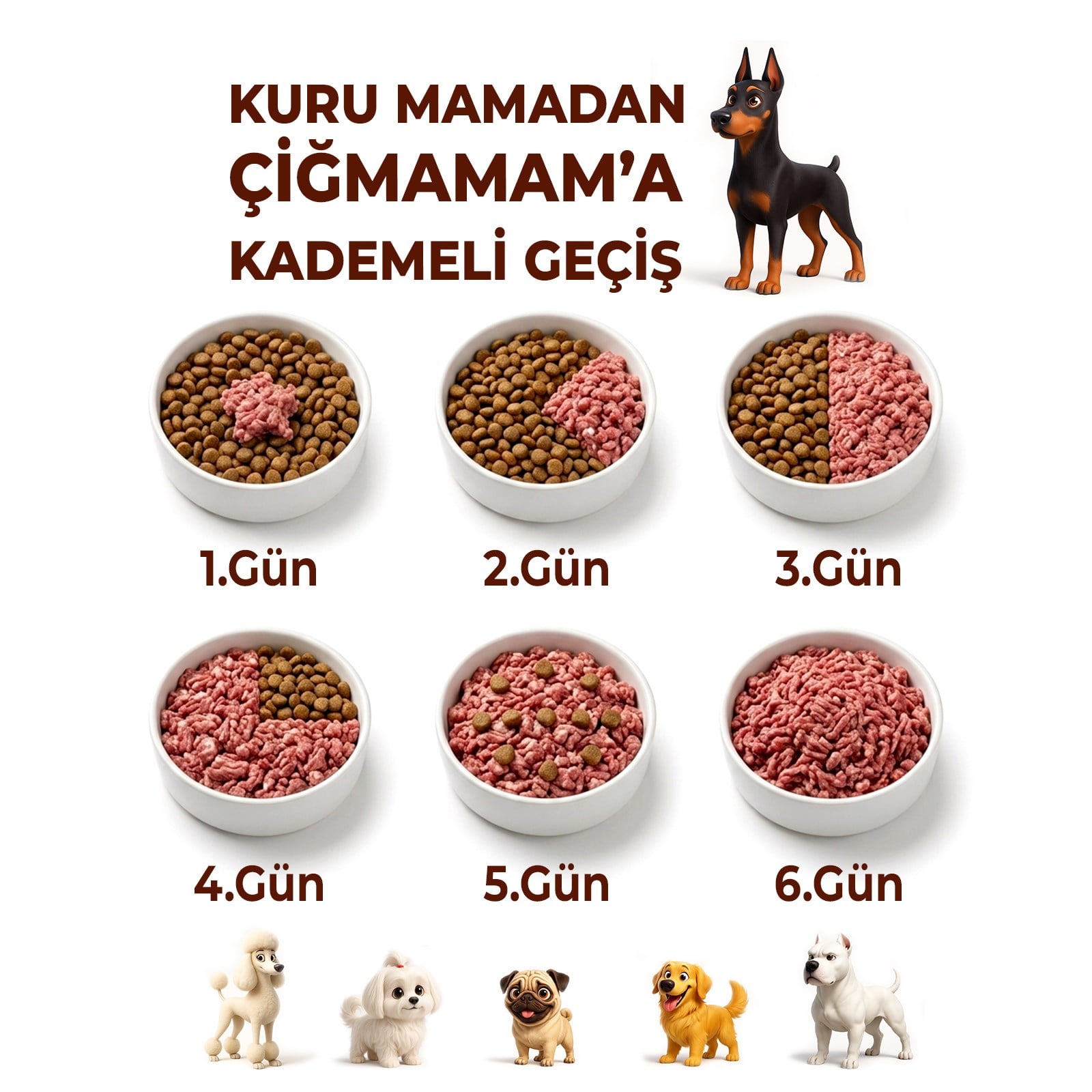 kirmizi-etli-tahilsiz-sebzeli-barf-kop-f0c-4e.jpg