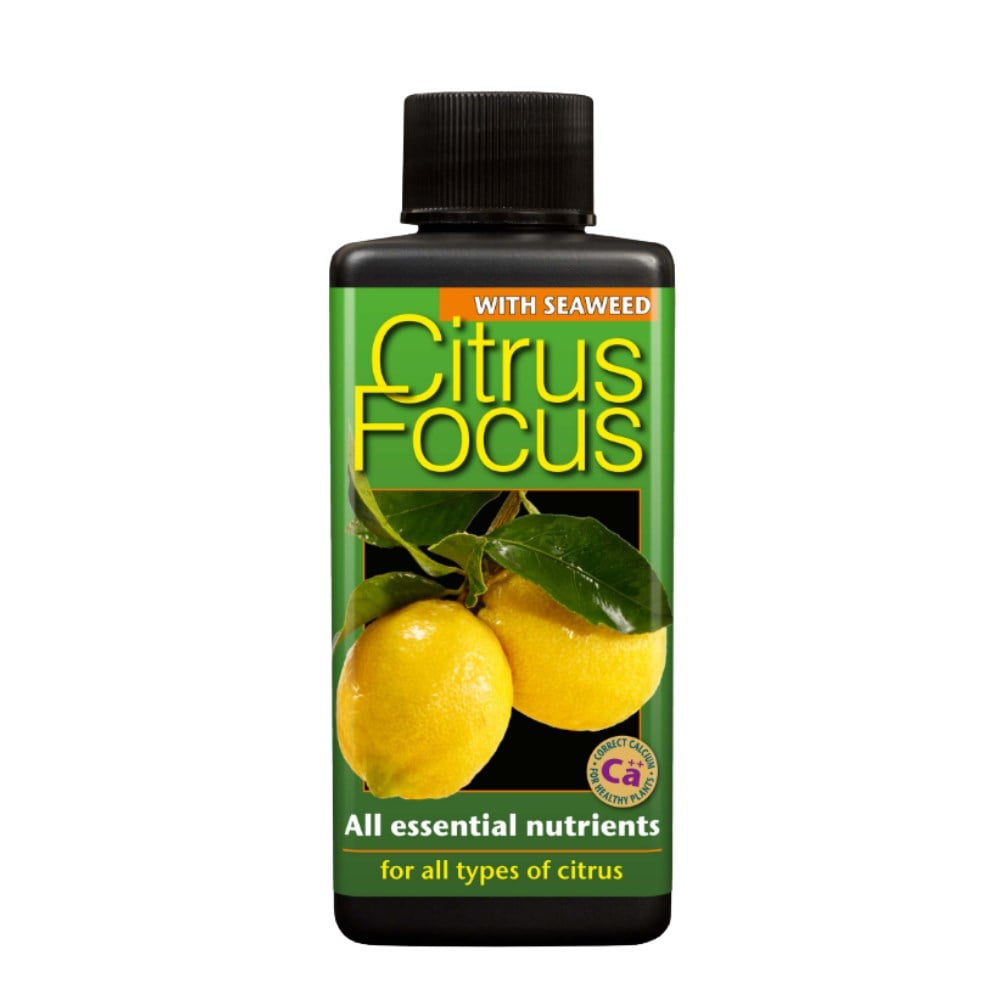 Growth Technology Citrus Focus 100 ml
