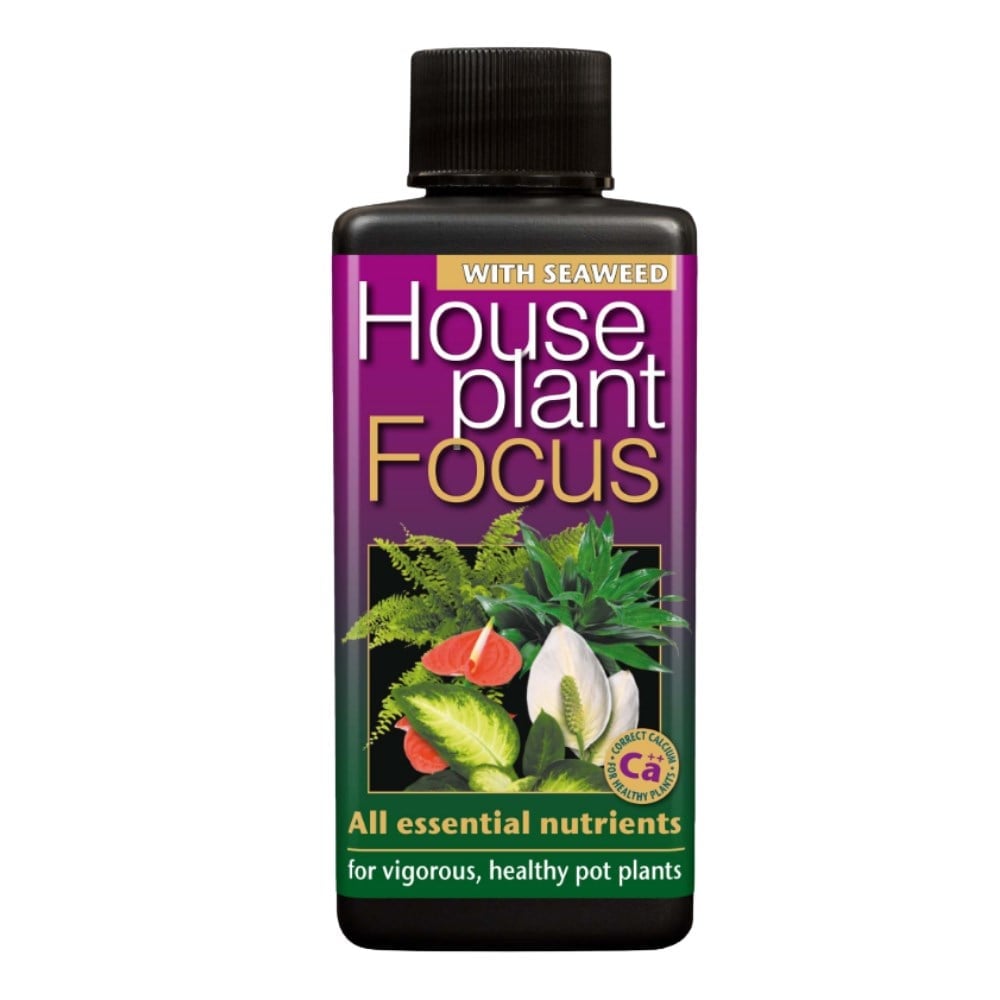 Growth Technology HousePlant Focus 1 Litre