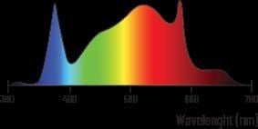 Lumatek Attis LED 300w