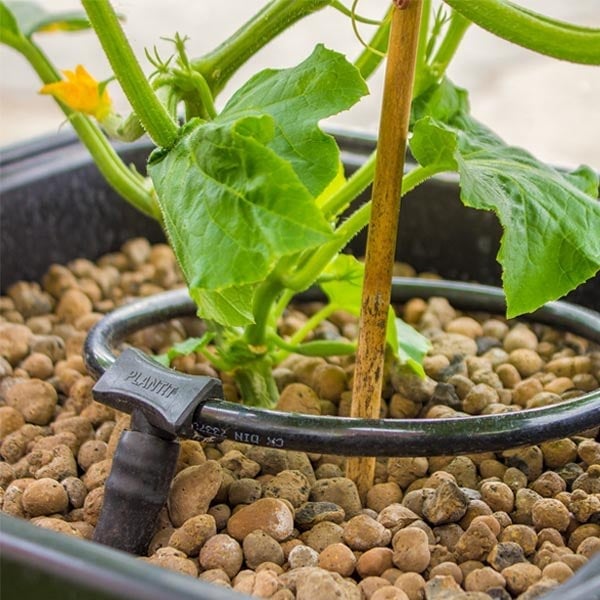 Plant!T Sulama Yüzüğü Çap 20 cm