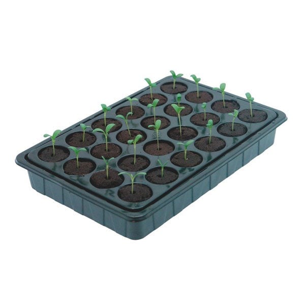 Root!T Value Mini Sera Kit Küçük