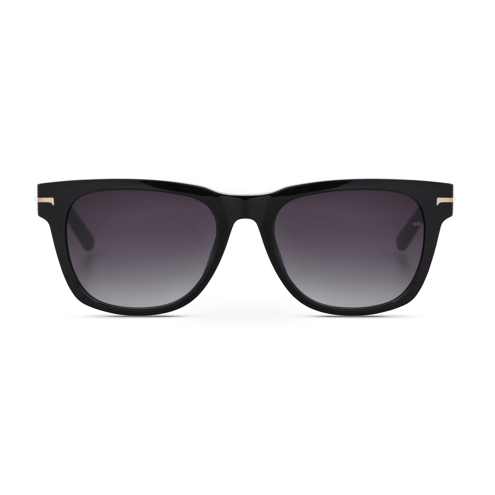 Cerruti 1881 CR 80011 C3 Erkek Güneş Gözlüğü