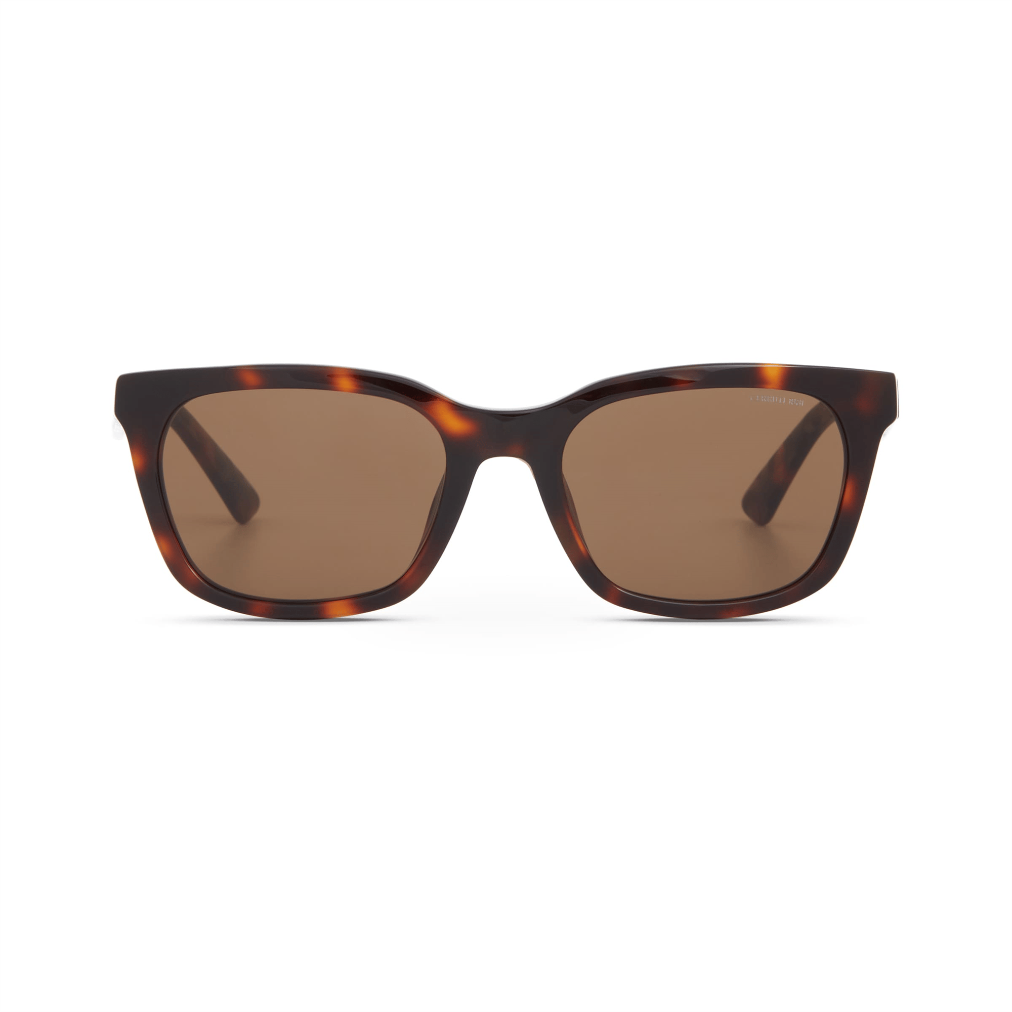 Cerruti 1881 CR 80064 C2 Erkek Güneş Gözlüğü