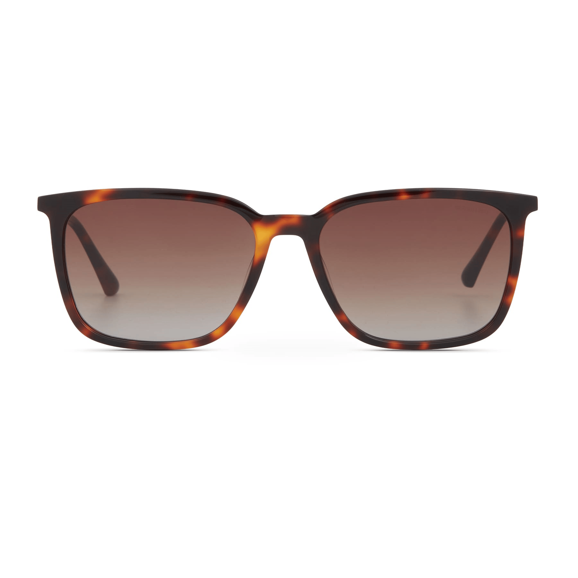 Cerruti 1881 CR 80098 C2 Erkek Güneş Gözlüğü