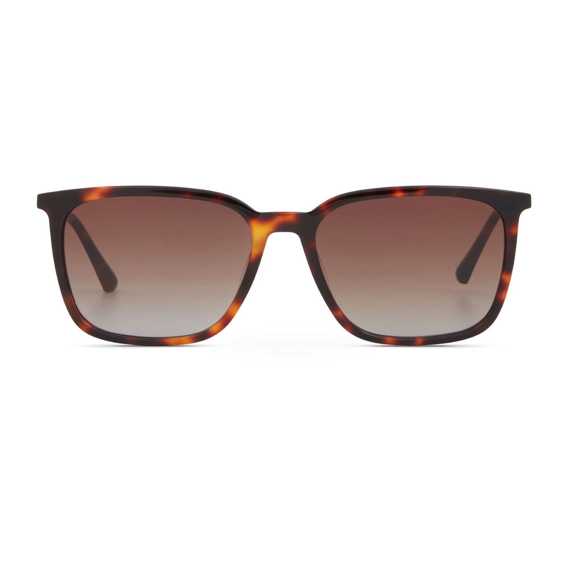 Cerruti 1881 CR 80098 C2 Erkek Güneş Gözlüğü