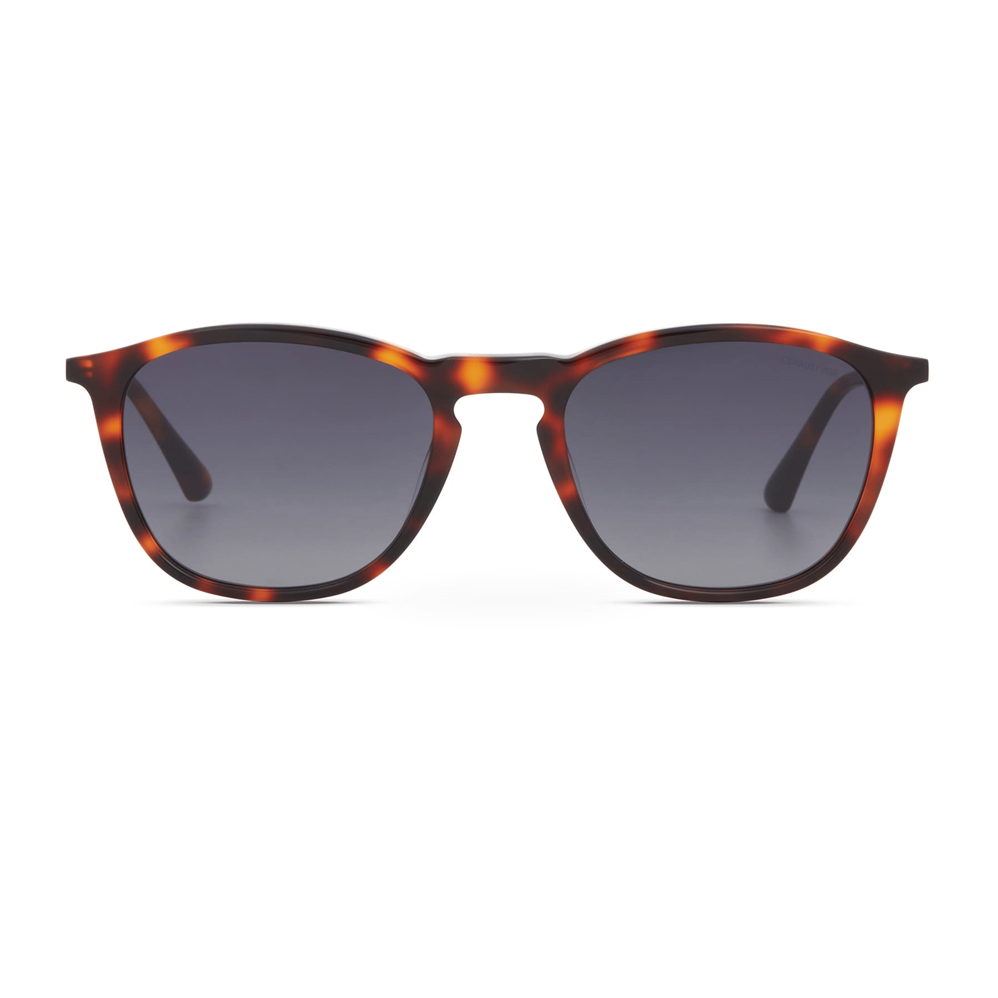 Cerruti 1881 CR 80100 C2 Erkek Güneş Gözlüğü