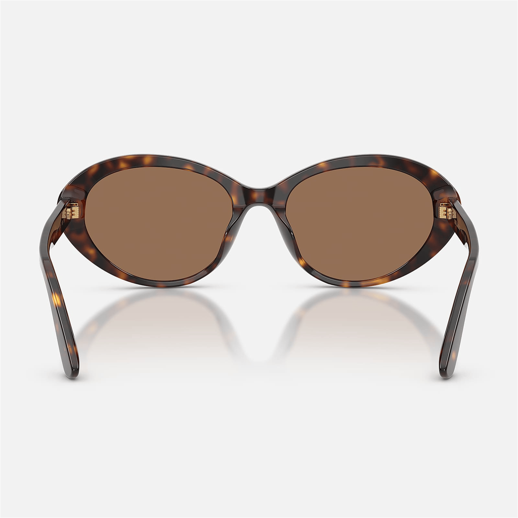 Dolce & Gabbana DNA DG 4570 502/73 53 - Havana Kadın Güneş Gözlüğü