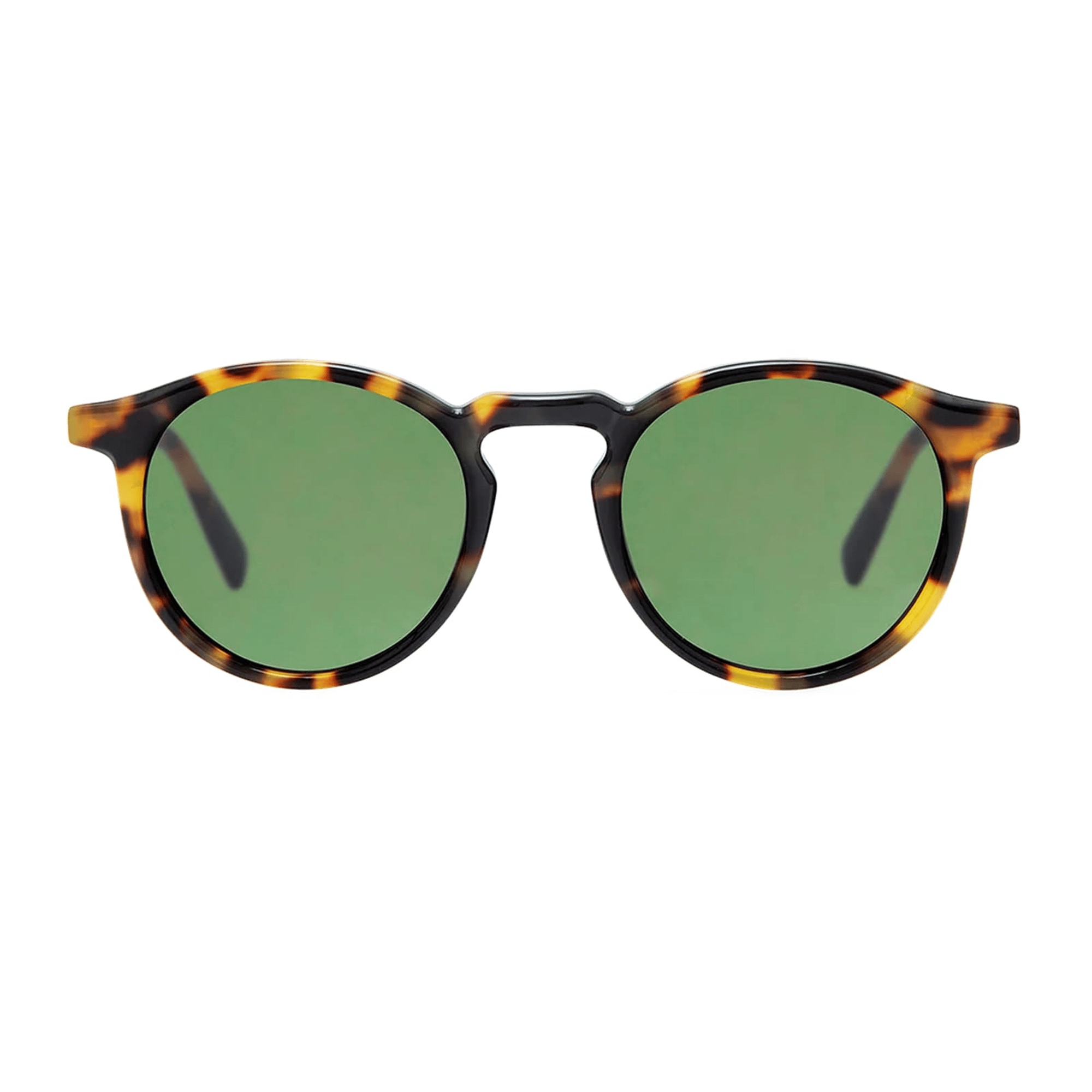 Gigi Studios Roy GS2005 20 Unisex Güneş Gözlüğü