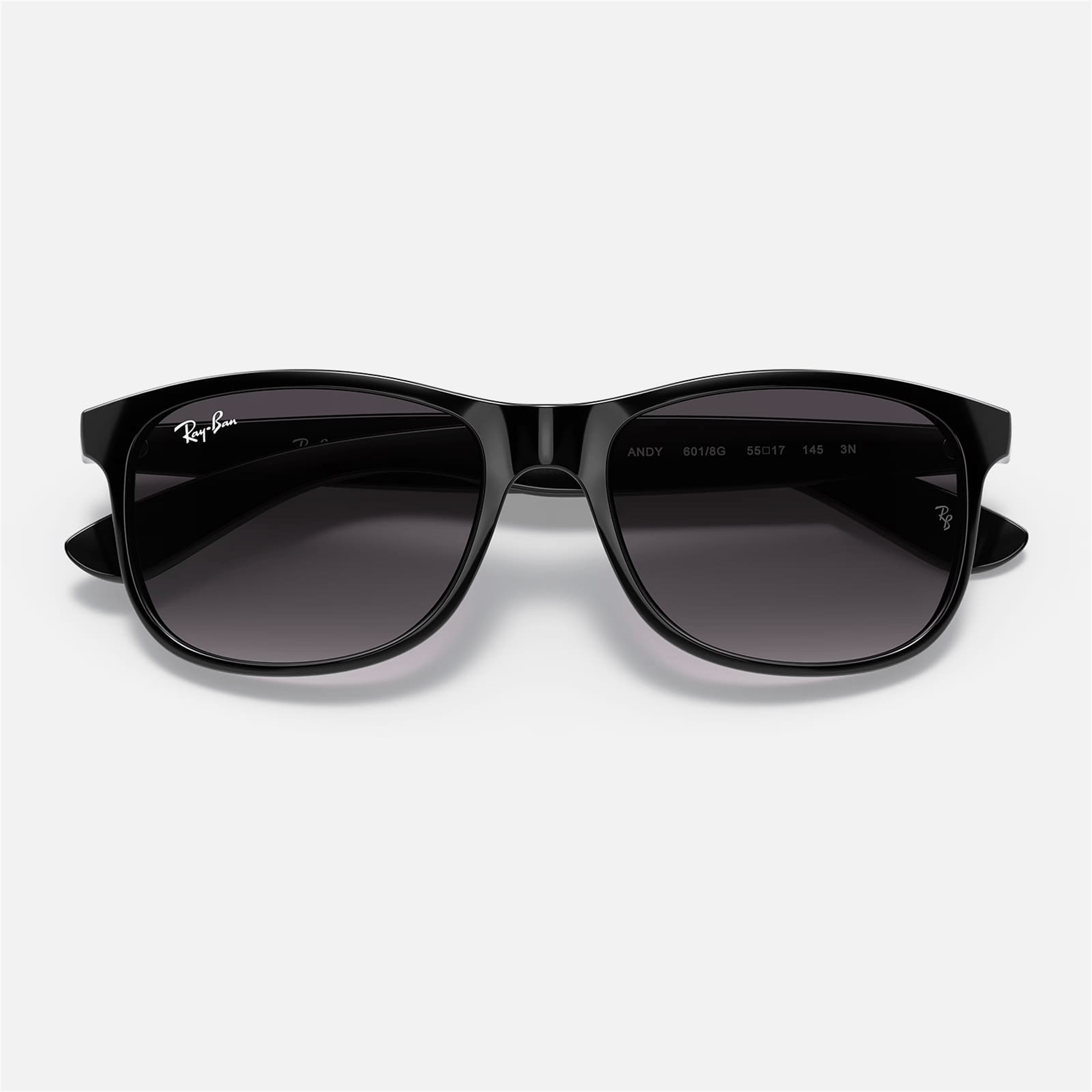 Ray-Ban Andy RB 4202 601/8G 55 - Siyah Erkek Güneş Gözlüğü