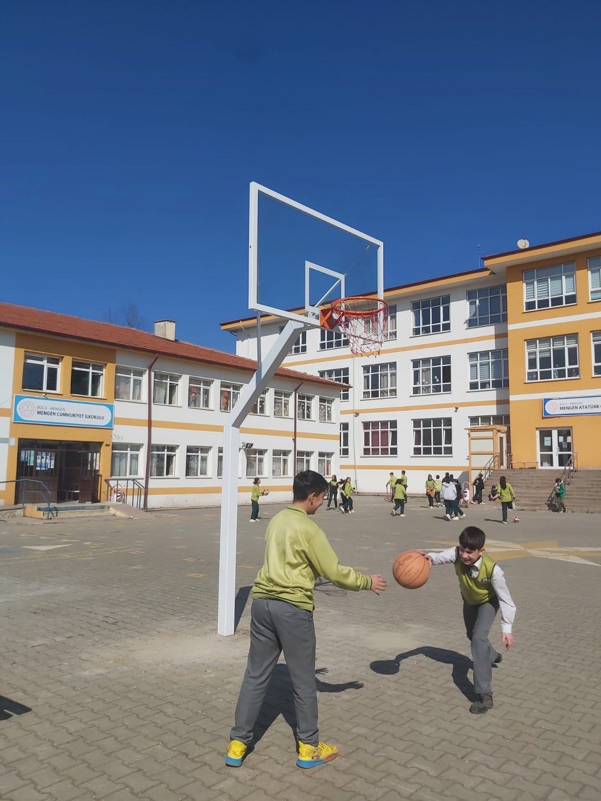 Basketbol Potası Bahçe Tipi Tek Direkli