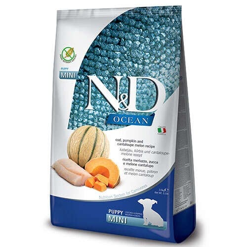 N&D Ocean Balkabaklı Morinalı Küçük Irk Yavru Köpek Maması 2.5 Kg