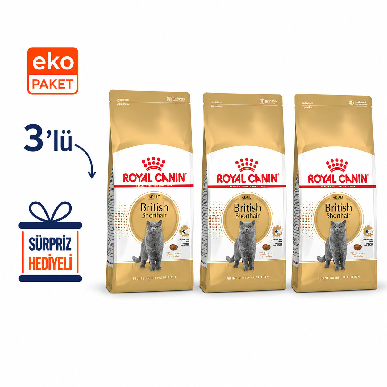 Royal Canin British Shorthair Yetişkin Kedi Maması 2 Kg X 3'lü Eko Paket