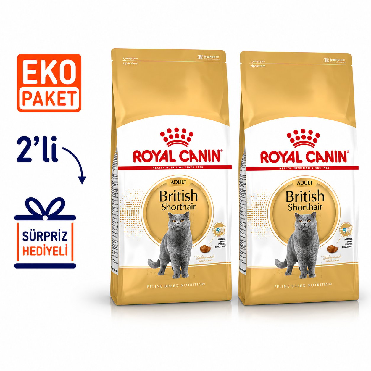 Royal Canin British Shorthair Yetişkin Kedi Maması 10 Kg X 2'li Eko Paket