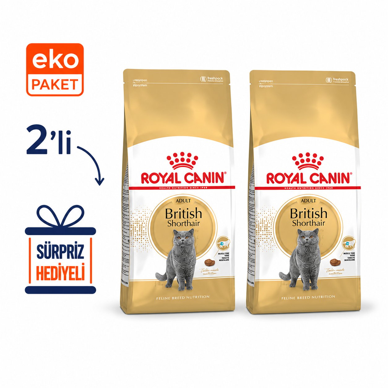Royal Canin British Shorthair Yetişkin Kedi Maması 2 Kg X 2'li Eko Paket 