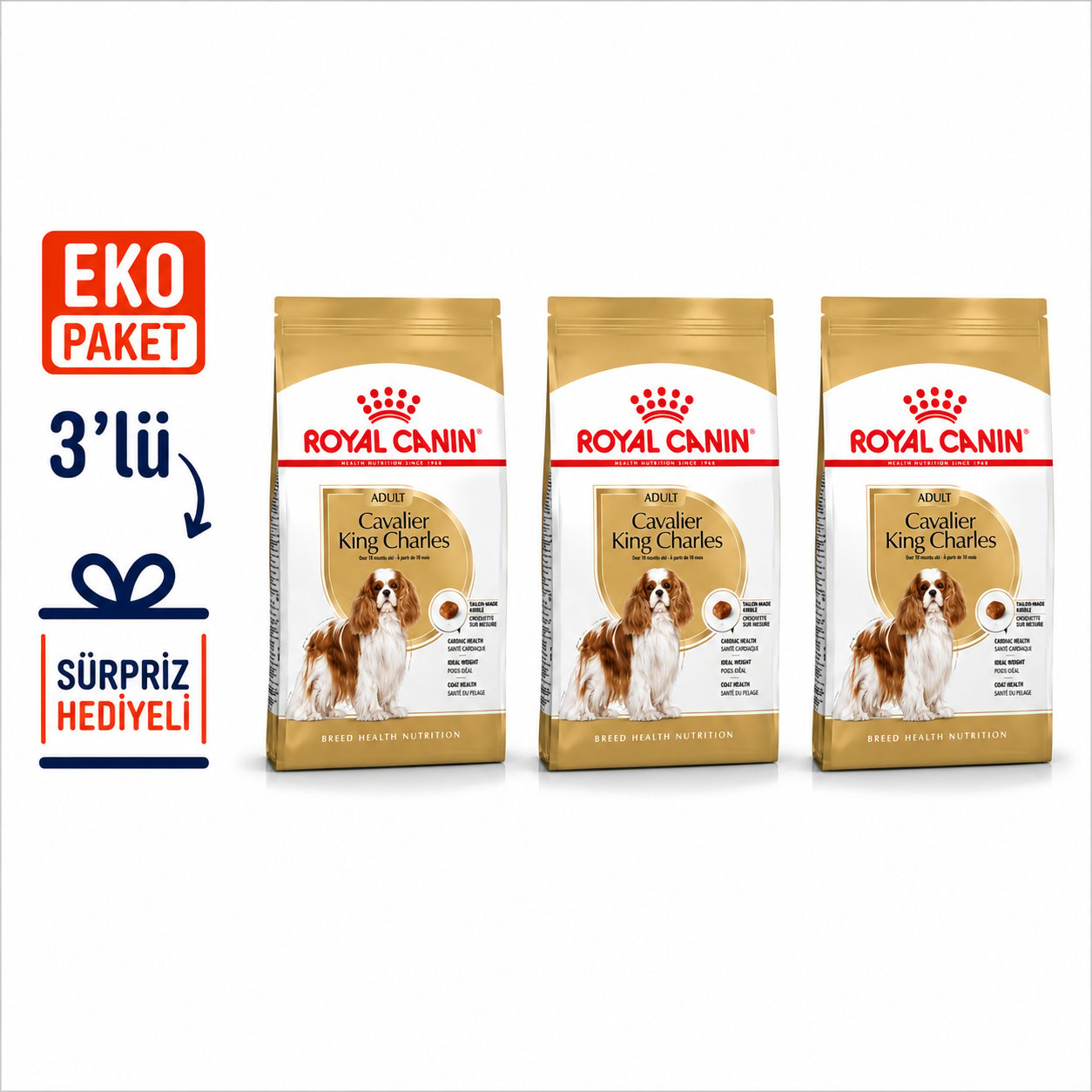 Royal Canin Cavalier King Charles 27 Yetişkin Köpek Maması 3 Kg X 3'lü Eko Paket