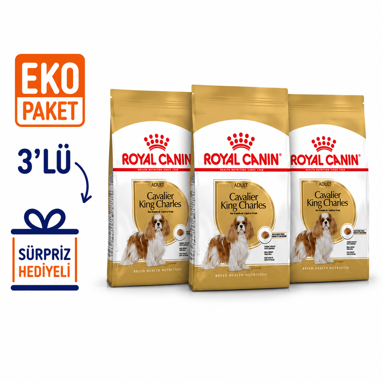 Royal Canin Cavalier King Charles 27 Yetişkin Köpek Maması 1,5 Kg X 3'lü Eko Paket 