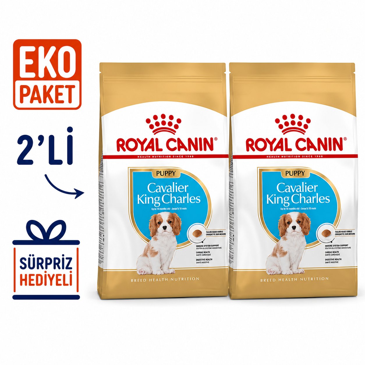 Royal Canin Cavalier King Charles Junior Yavru Köpek Maması 1,5 Kg X 2'li Eko Paket 