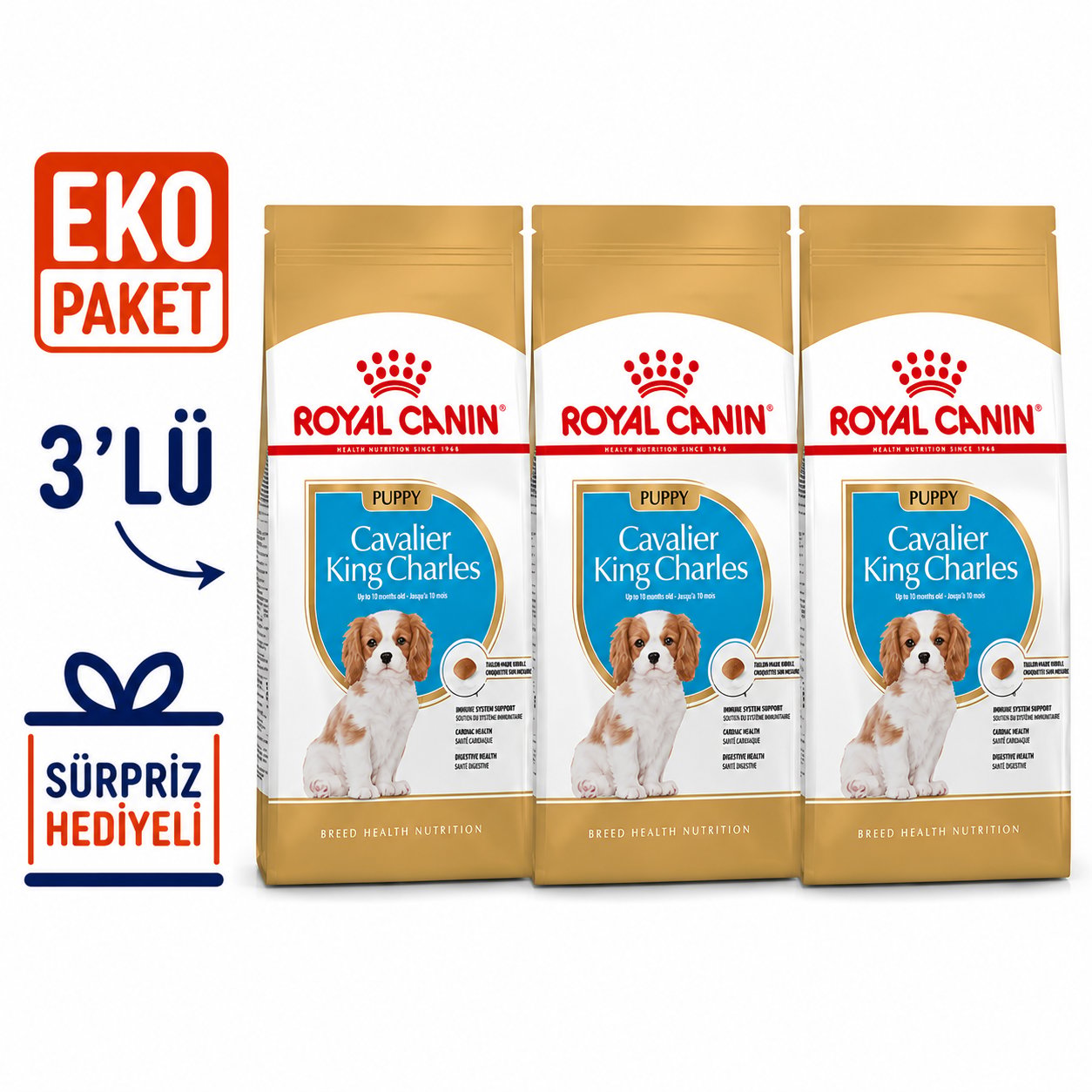 Royal Canin Cavalier King Charles Junior Yavru Köpek Maması 1,5 Kg X 3'lü Eko Paket 