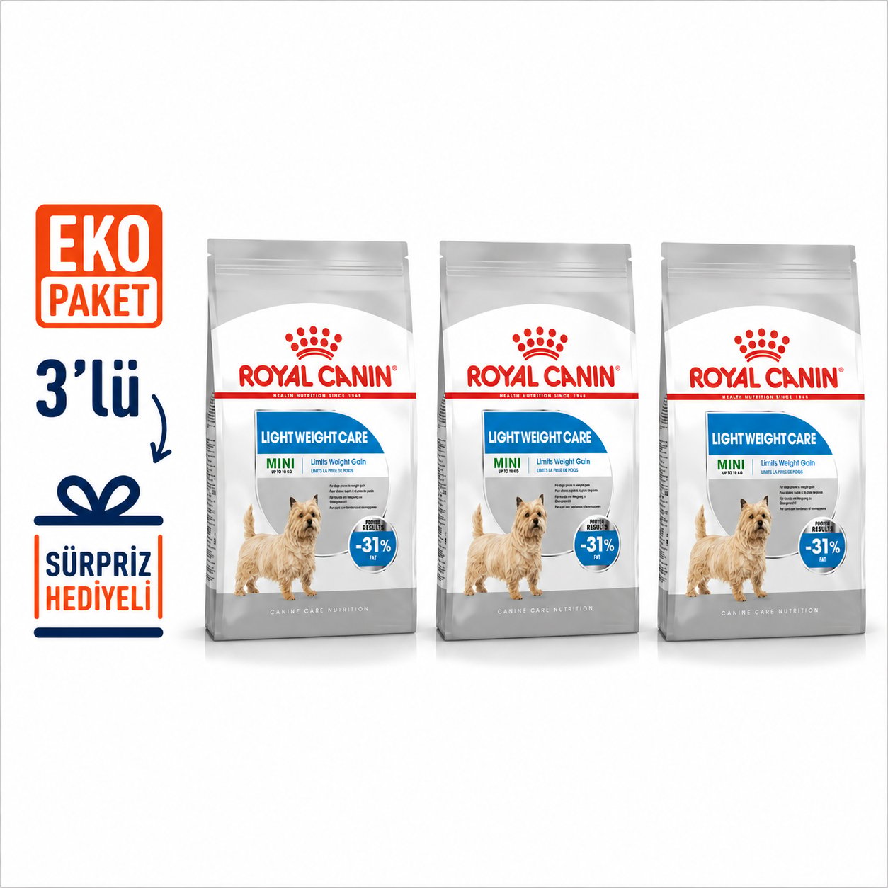 Royal Canin CCN Mini Light Weight Care Köpek Maması 3 kg X 3'lü Eko Paket 