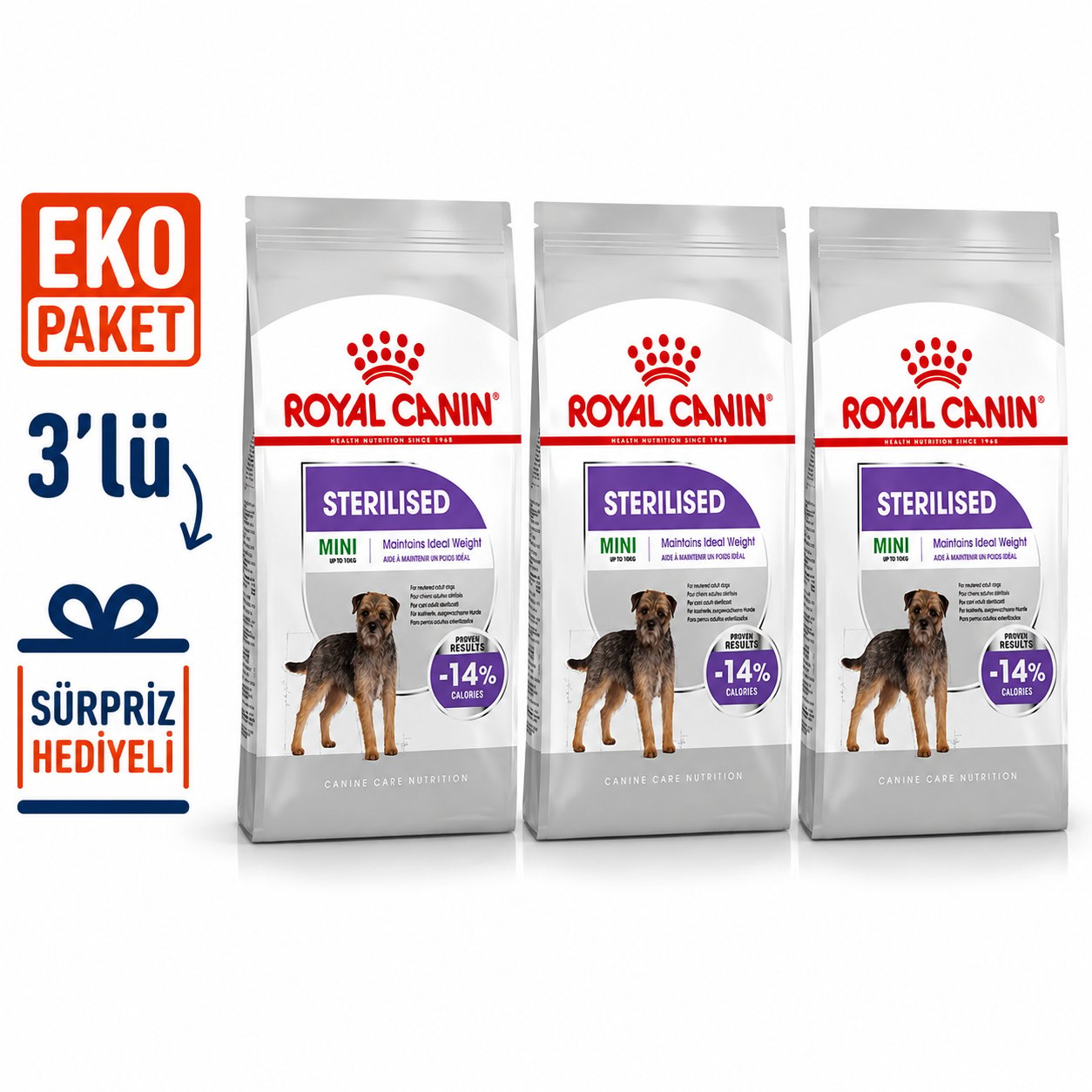 Royal Canin CCN Mini Steril Kısır Köpek Maması 3 kg X 3'lü Eko Paket 