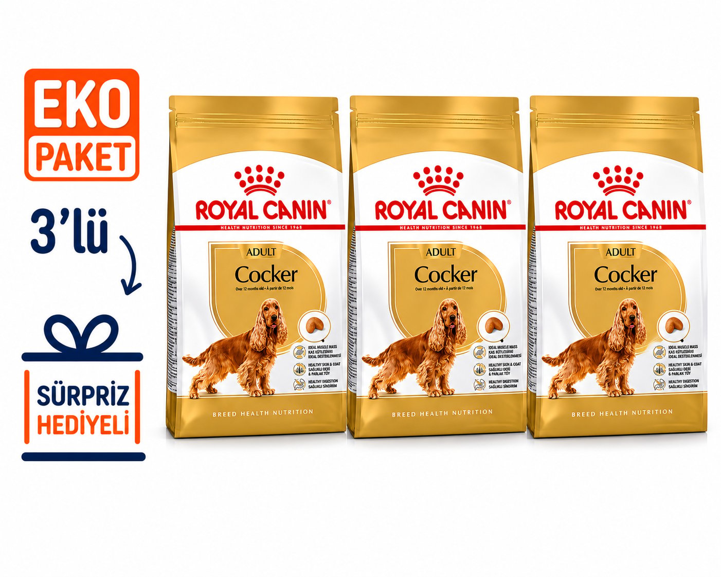 Royal Canin Cocker Spaniel 25 Köpek Maması 3 Kg X 3'lü Eko Paket 
