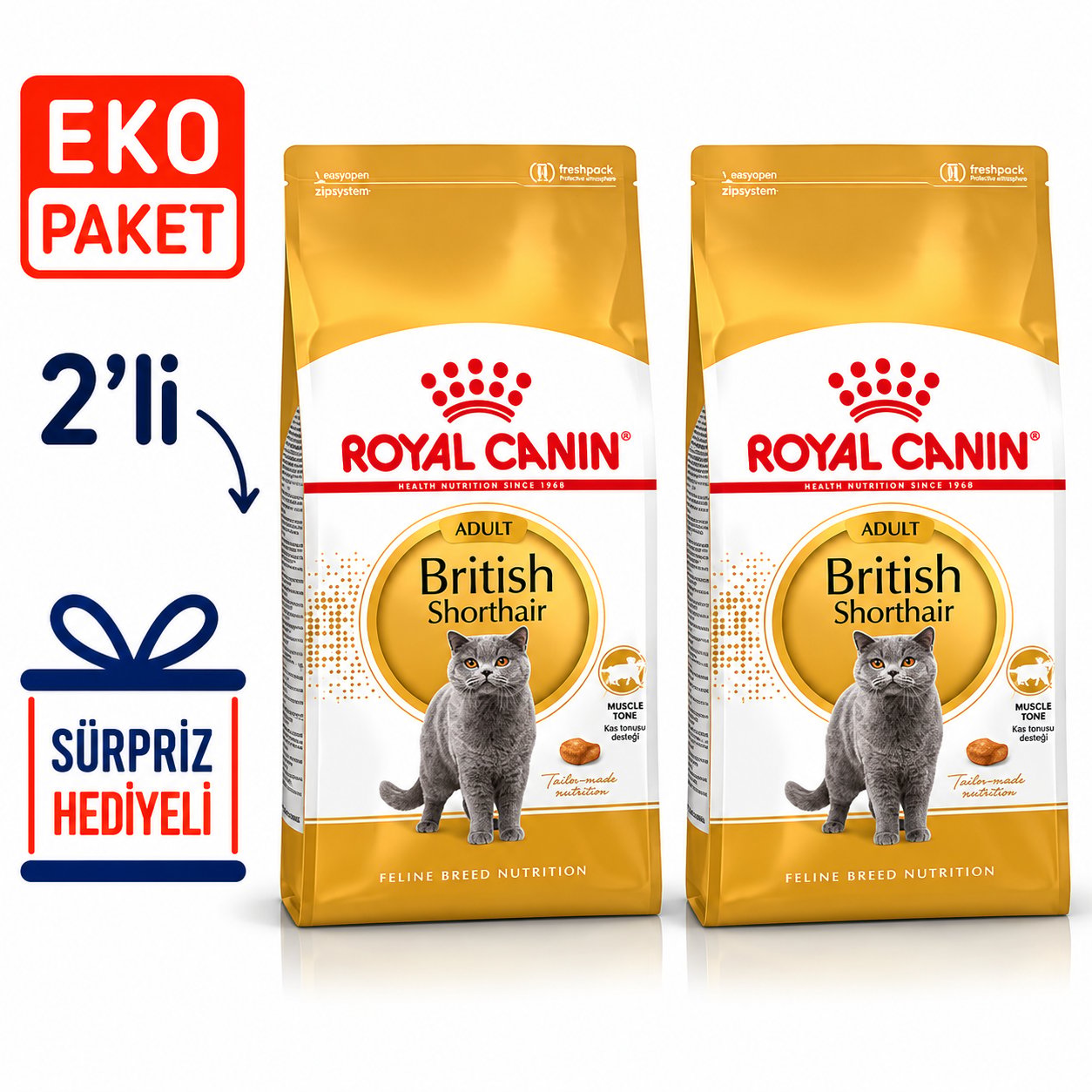 Royal Canin FBN British Shorthair Yetişkin Kedi Maması 4 Kg X 2' li Eko Paket 