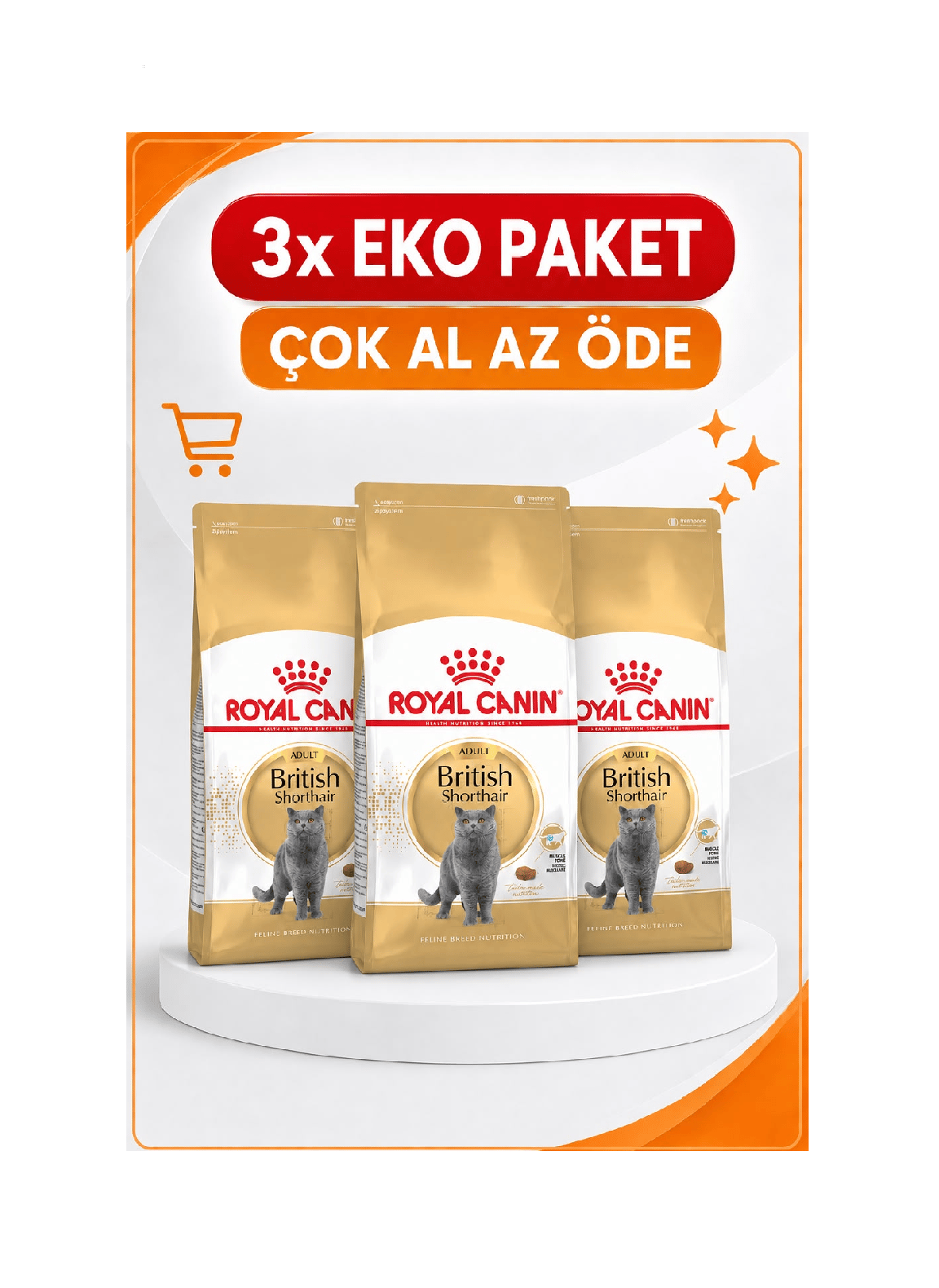 Royal Canin FBN British Shorthair Yetişkin Kedi Maması 4 Kg X 3 'lü Eko Paket 