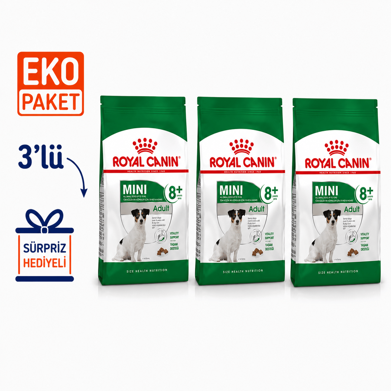 Royal Canin Mini Adult +8 Yaş Yaşlı Köpek Maması 2 Kg X 3'lü Eko Paket 