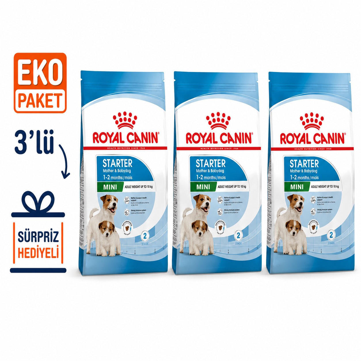 Royal Canin Mini Starter Yavru Kuru Köpek Maması 4 Kg X 3'lü Eko Paket 