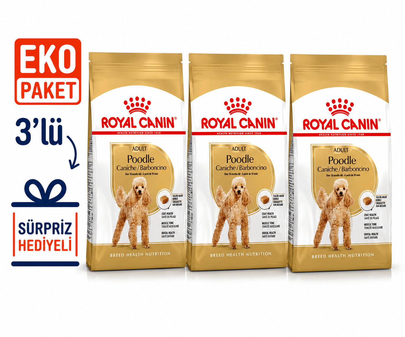 Royal Canin Poodle Adult Yetişkin Köpek Maması 3 Kg X 3'lü Eko Paket 