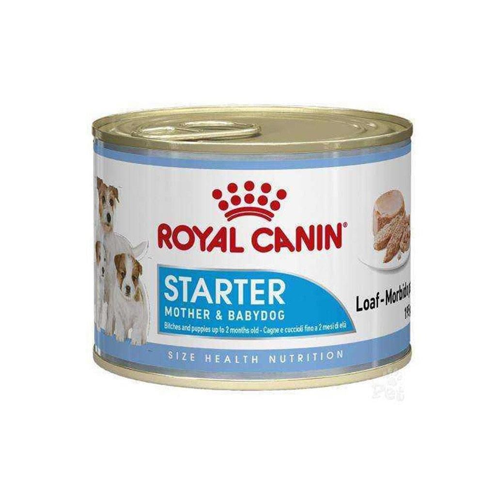 Royal Canin Starter Mousse Yavru Köpek Konservesi 195 Gr