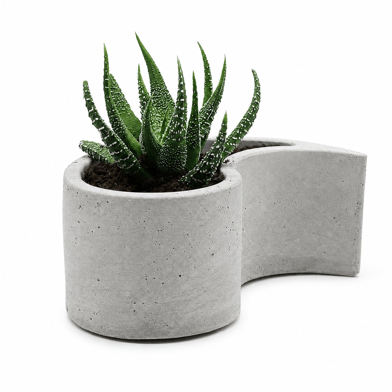 Brüt Beton Kaktüs ve Sukulent Saksısı, Model: BTNSK-2018107