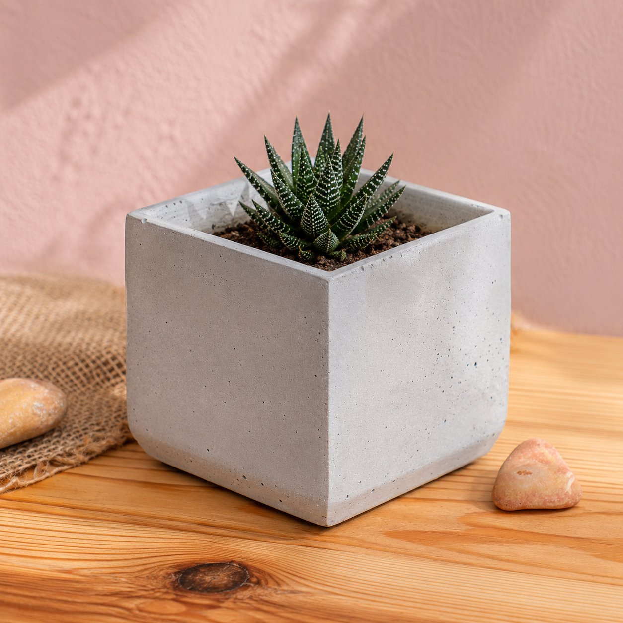 Kare Brüt Beton Kaktüs ve Sukulent Saksısı, Model: BTNSK-2023202