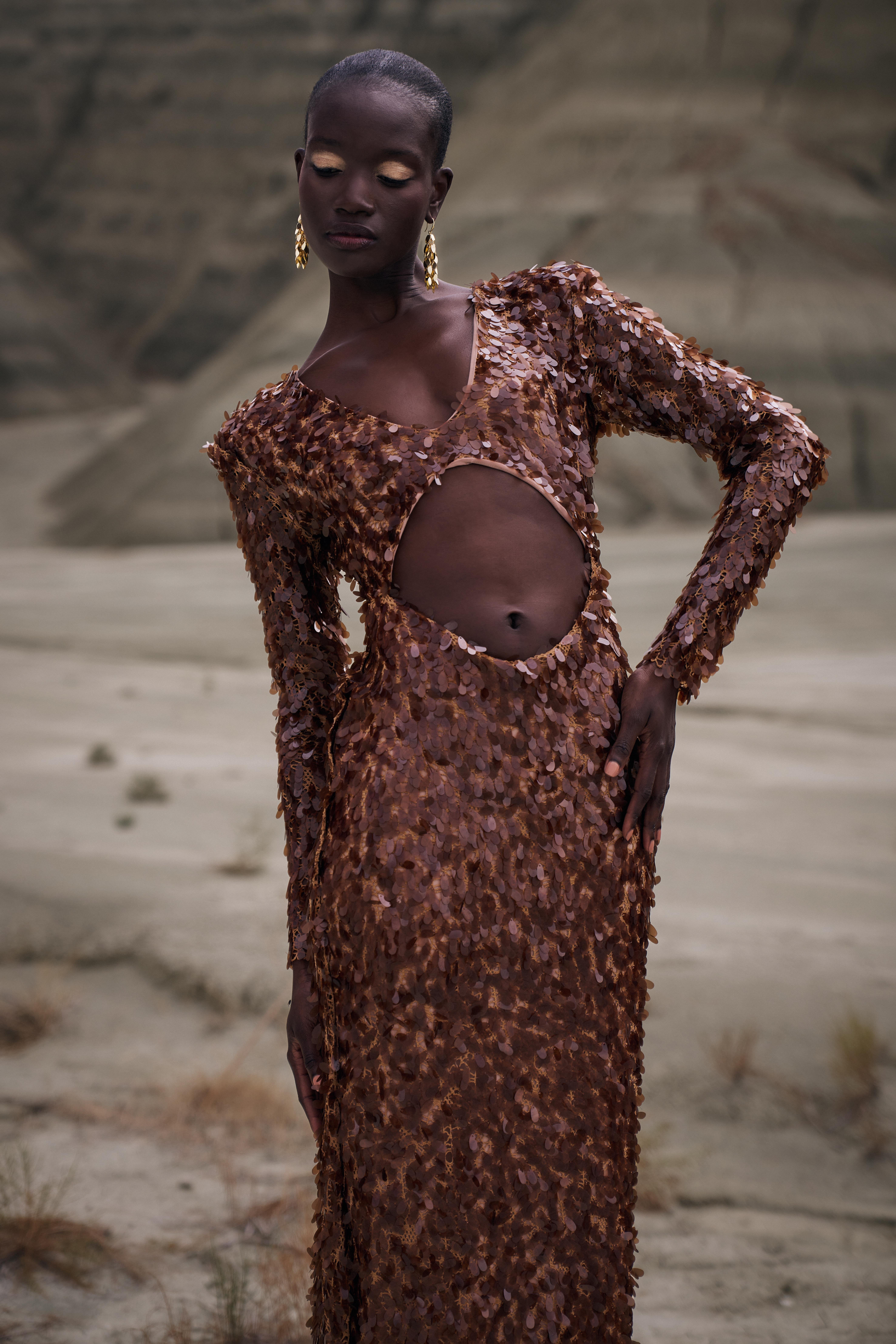 Glamorous Brown Dress
