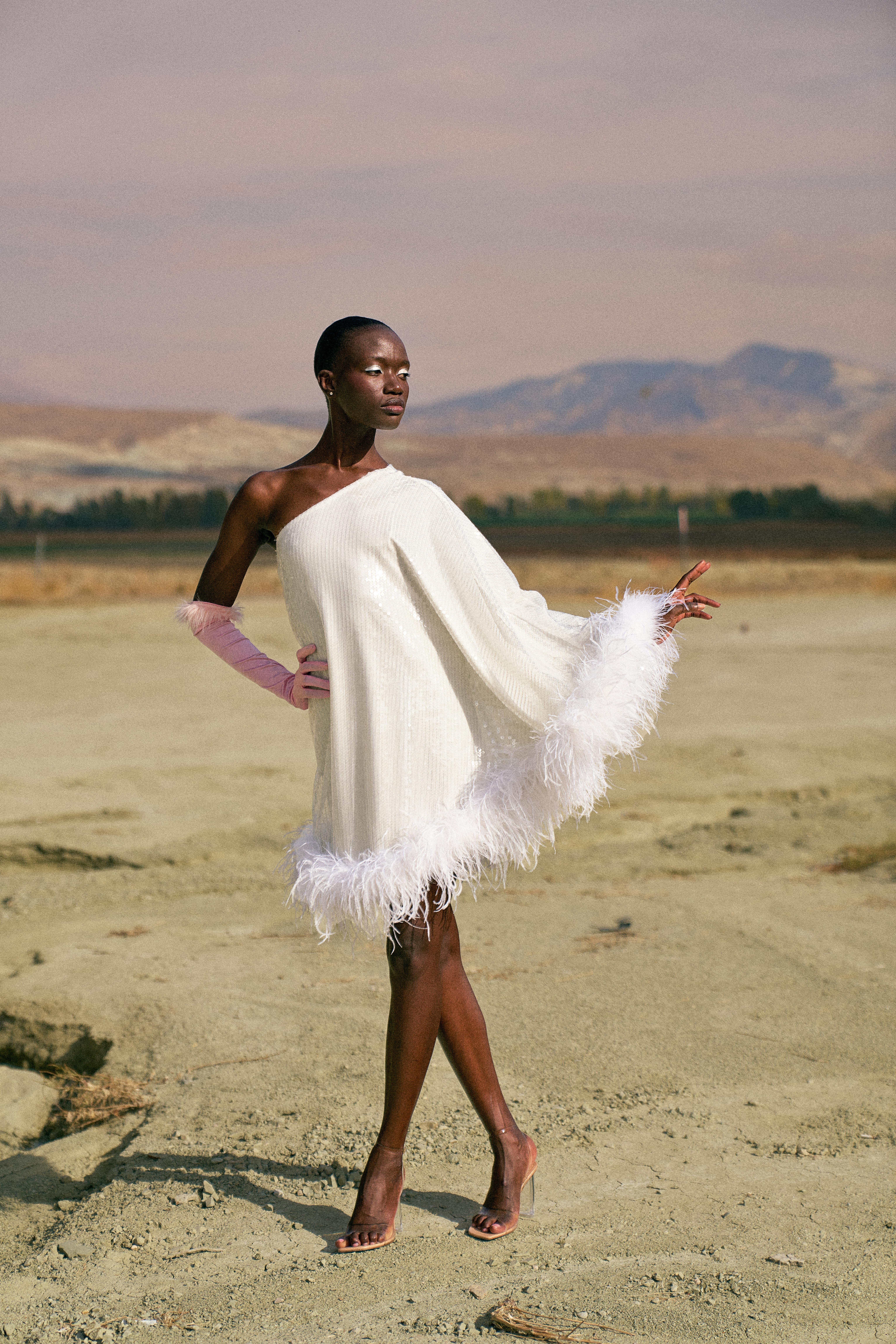 Swan Dress