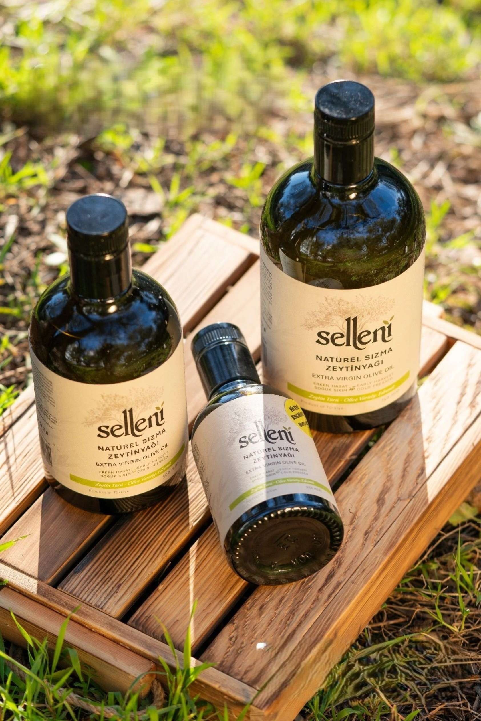 Selleni Erken Hasat Soğuk Sıkım Edremit 750 ml