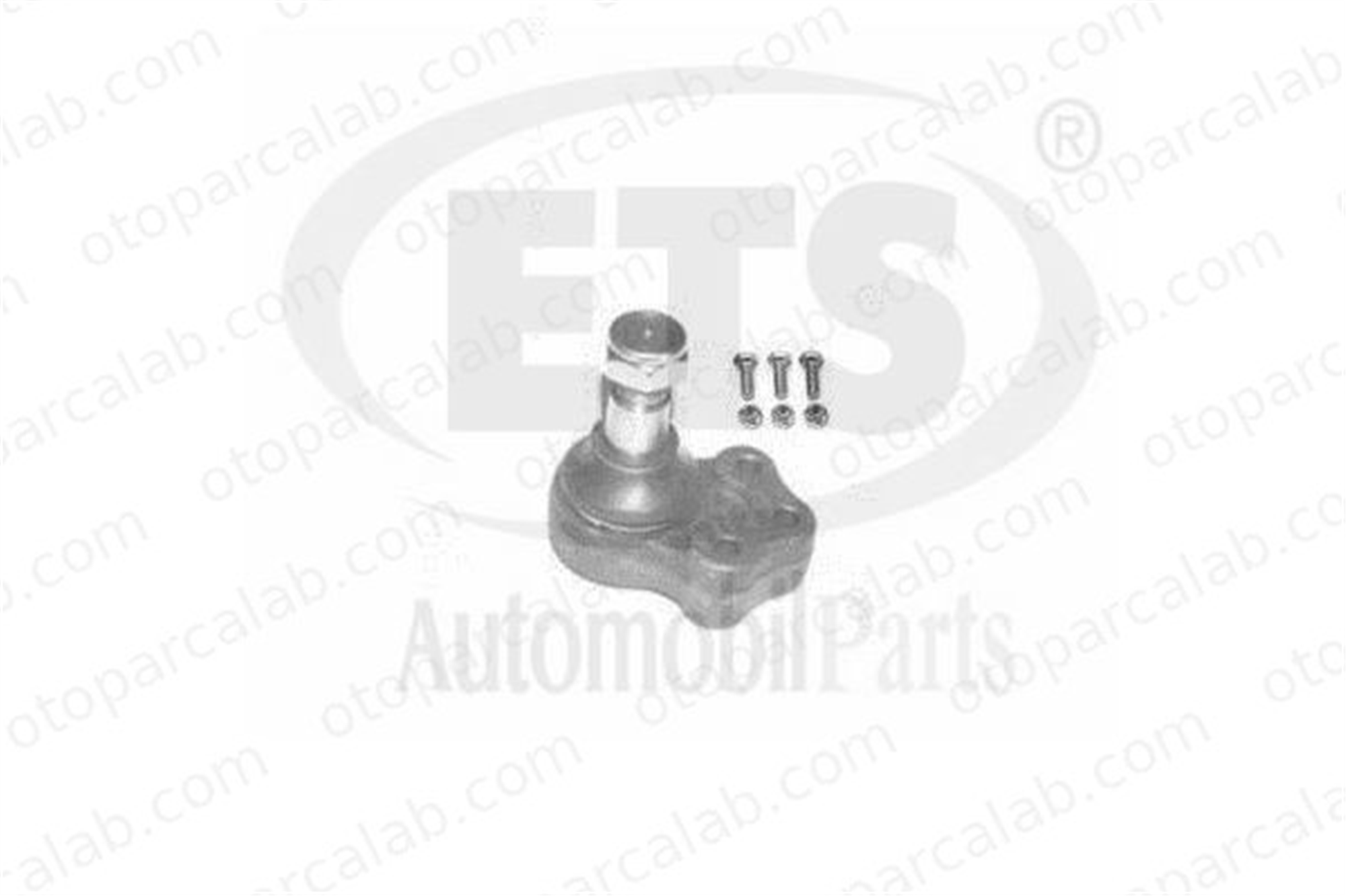 ACV 09109 Rotil Alt Sağ veya Sol FORD TRANSIT Minibüs/Otobüs TRANSIT Panelvan/Van 51RS700797 51RS700997