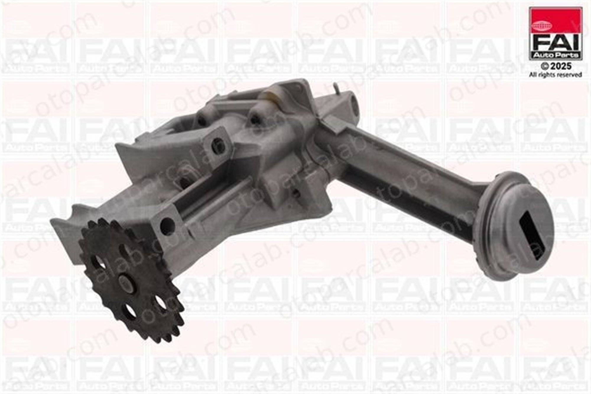 AXAM 02-04-14-8004 Yağ Pompası RENAULT KANGOO Express DACIA DUSTER 8200307174 8200591475