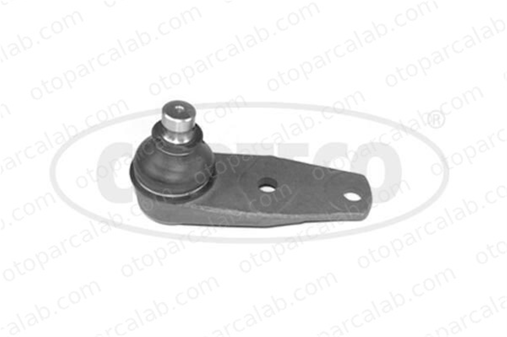 AXAM 02-06-03-4130 Rotil Alt Sağ veya Sol RENAULT CLIO II KANGOO Express 7702127160 6001538603