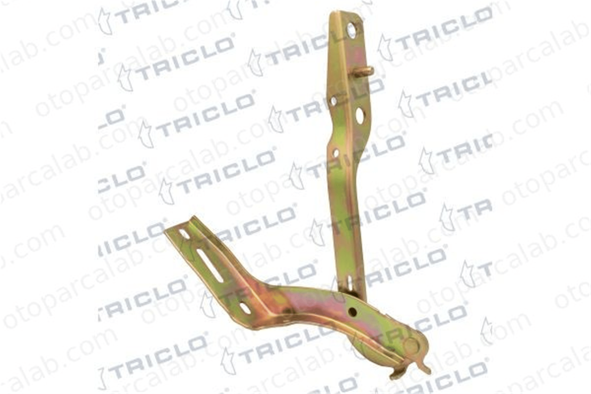 BITAPART BPE276024 Motor Kaput Menteşesi Sol PEUGEOT 307 Break 307 791263
