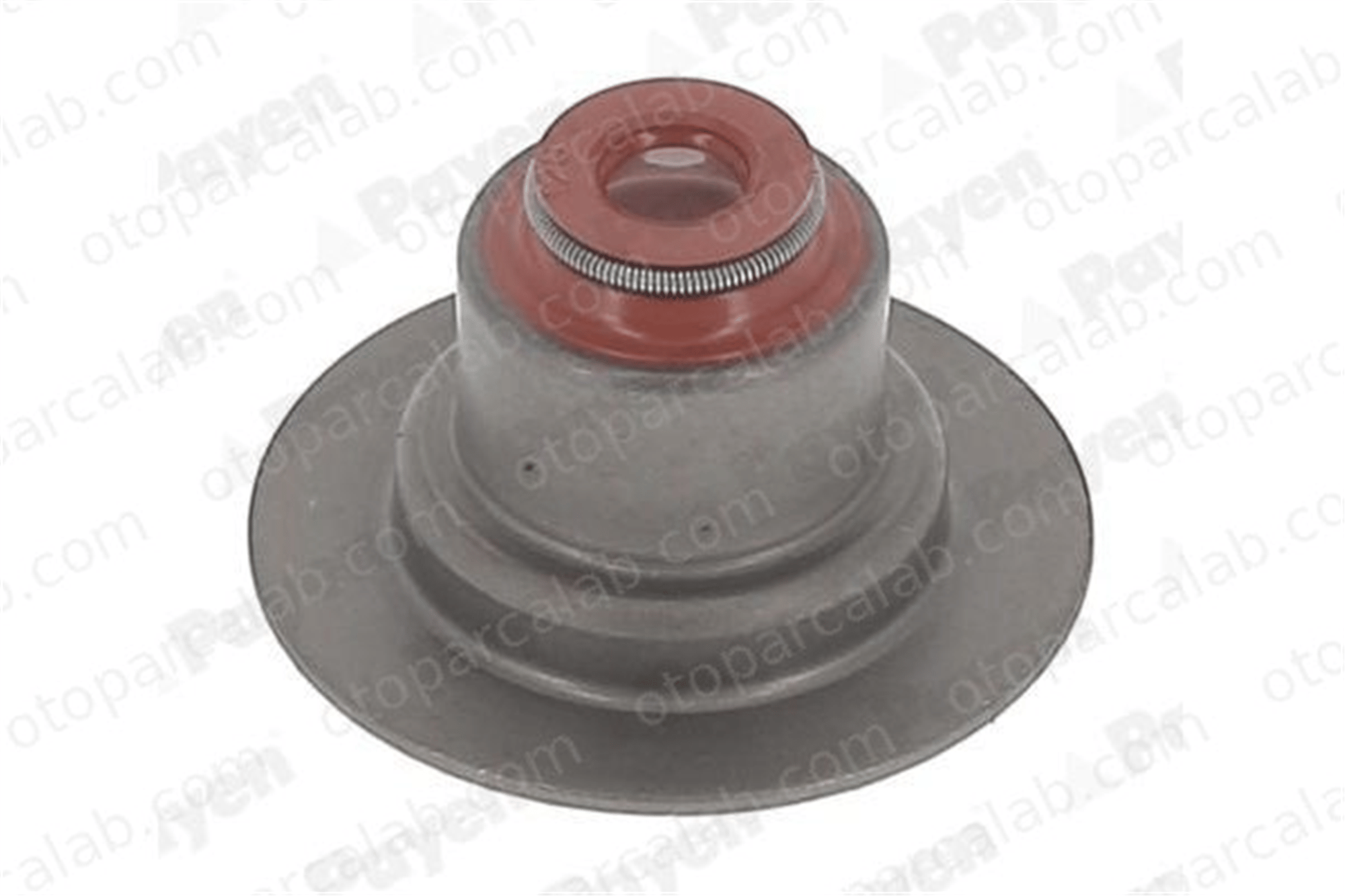BITAPART BRE231006 Supap Lastiği RENAULT LAGUNA II Grandtour MEGANE II 7700103938 4409126