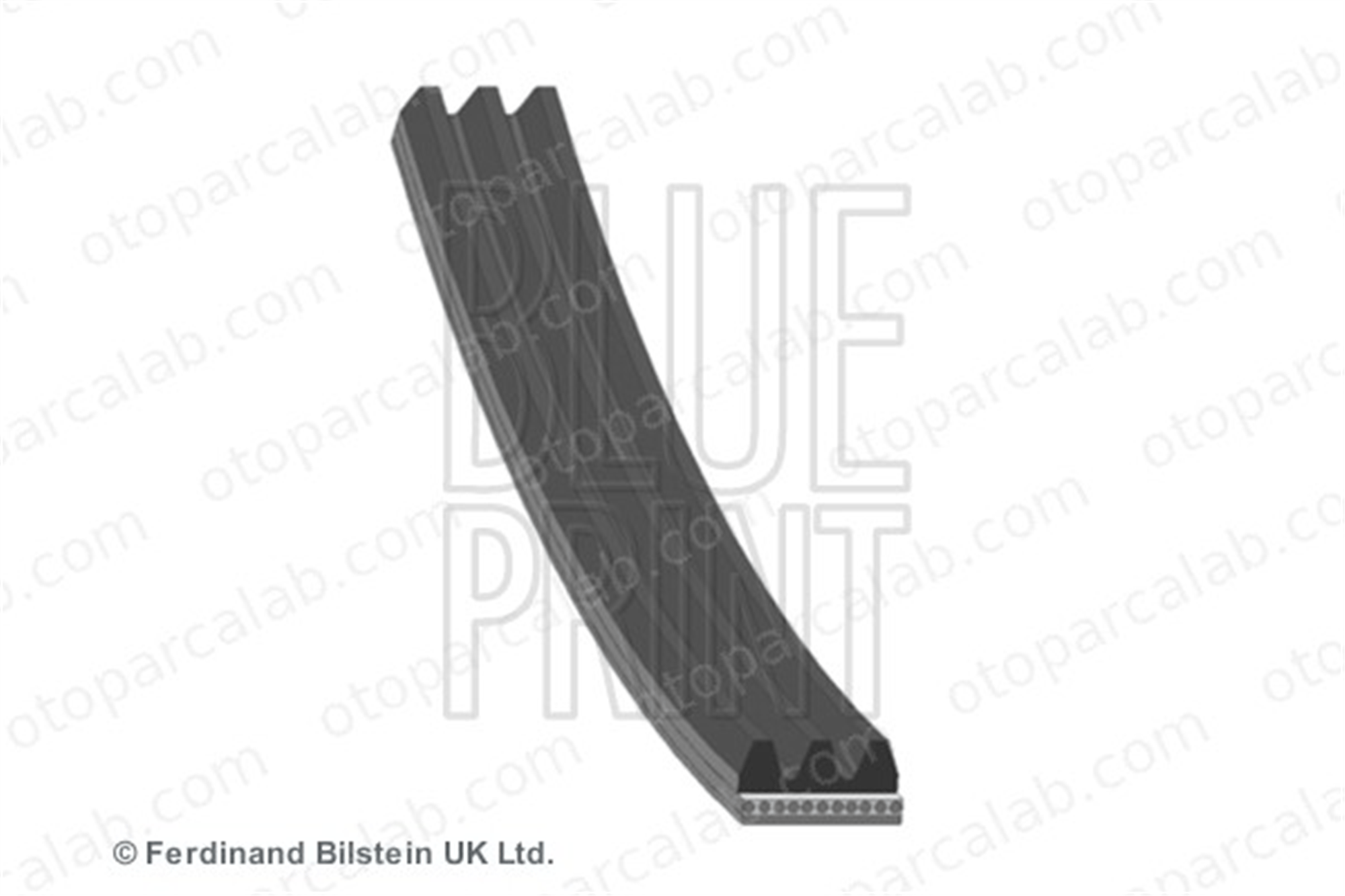 BLUE PRINT AD03R580 Vantilatör Kayışı JAGUAR X-TYPE I X-TYPE I Station wagon C2S39525 AJ84229