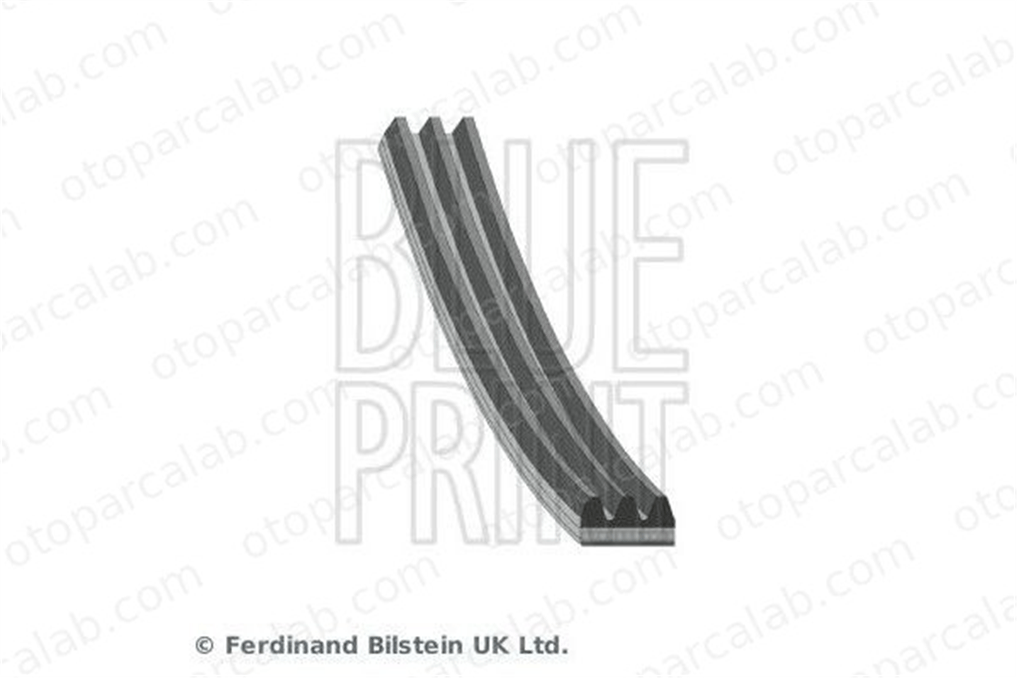 BLUE PRINT AD03R872 Vantilatör Kayışı TOYOTA CAMRY CAMRY Sedan 9091602721