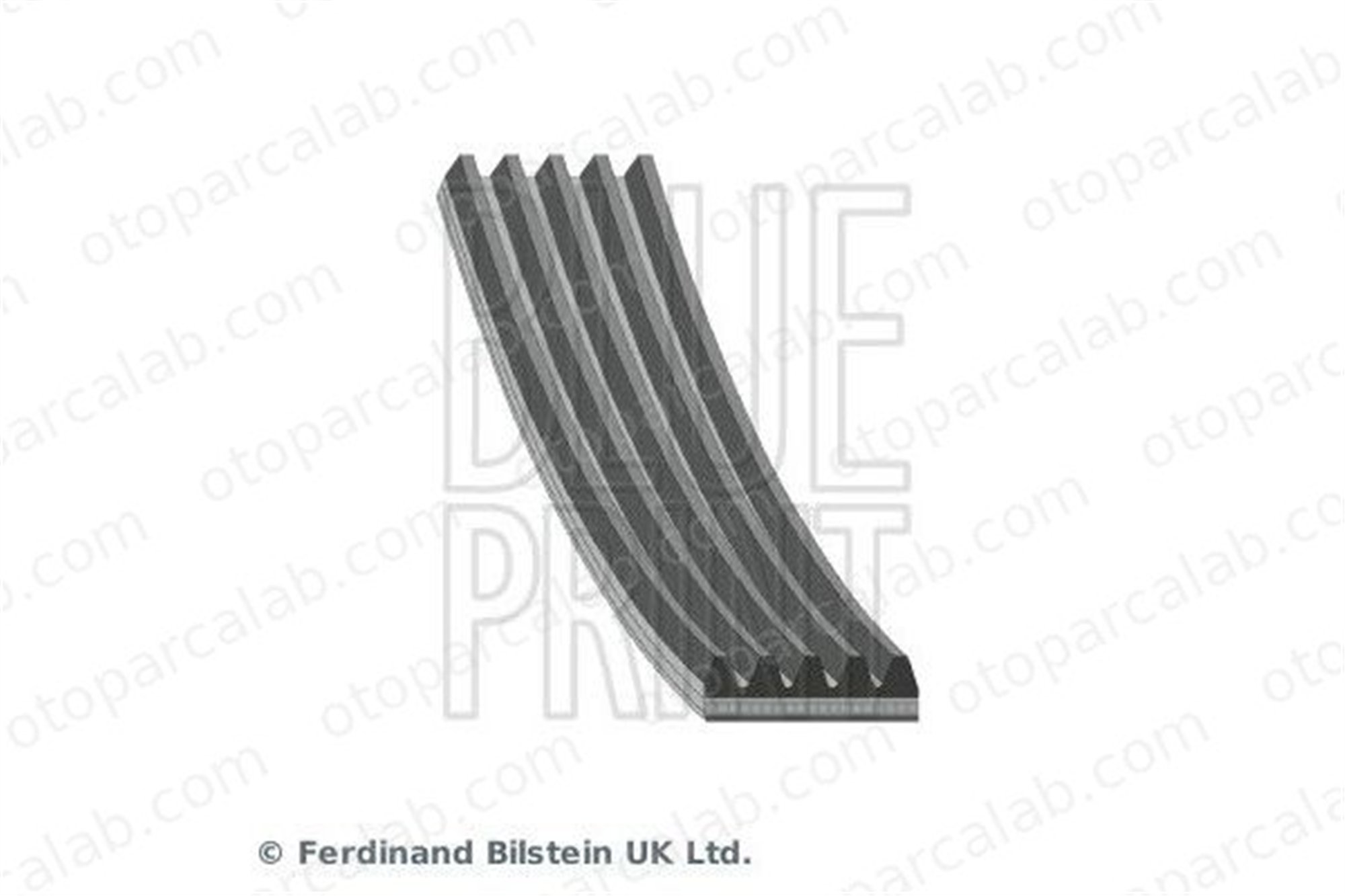 BLUE PRINT AD05R685 Vantilatör Kayışı SUBARU LEGACY V LEGACY V Station wagon 809218440 809218470