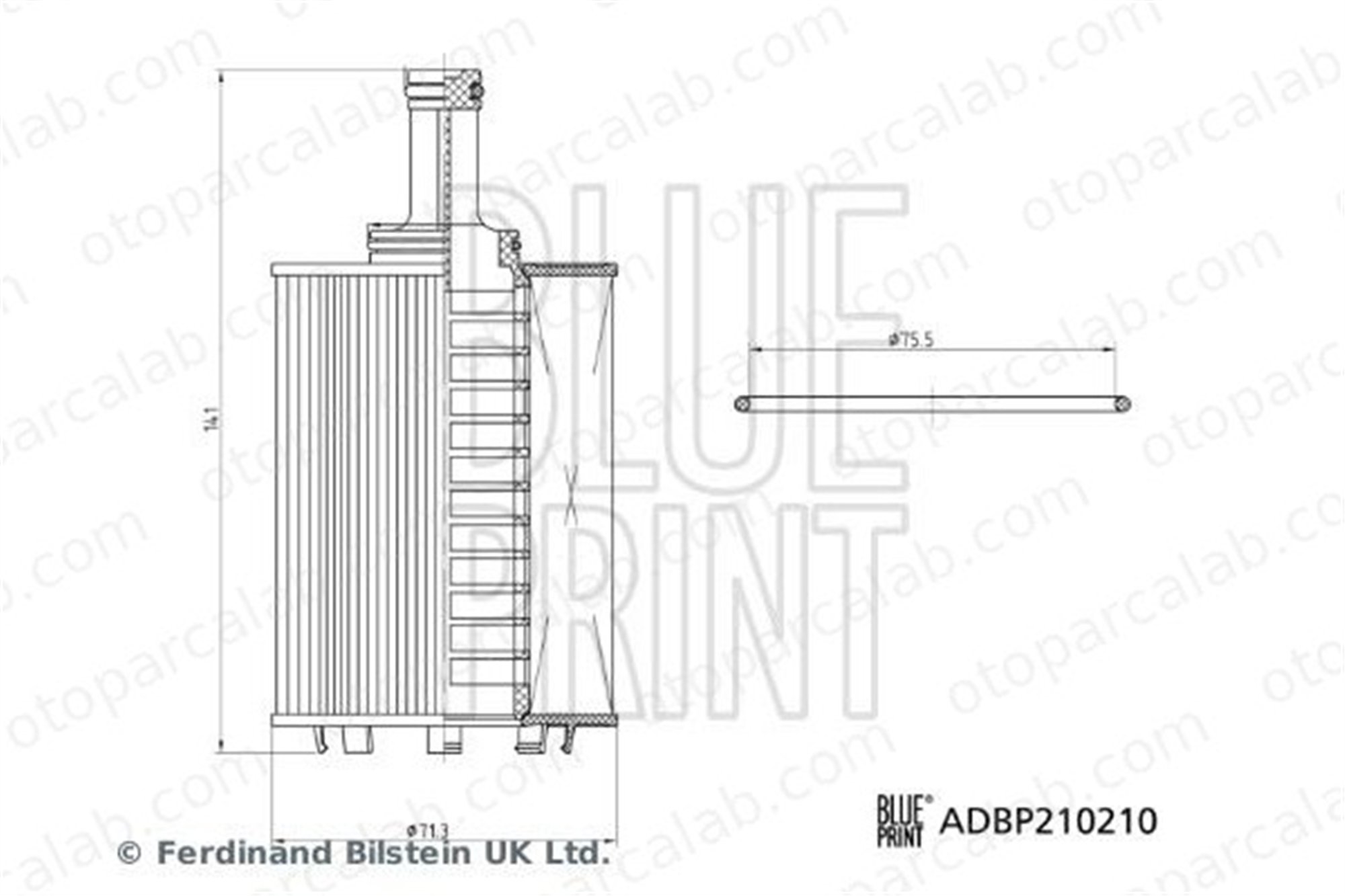 BLUE PRINT ADBP210210 Yağ Filtresi FERRARI 488 GTB 488 Spider 295948
